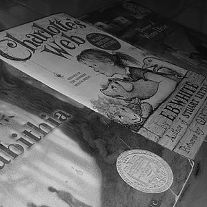 3 Children's Novel Bundle